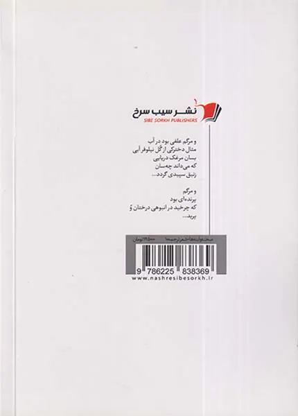 صحنه و آینه ها